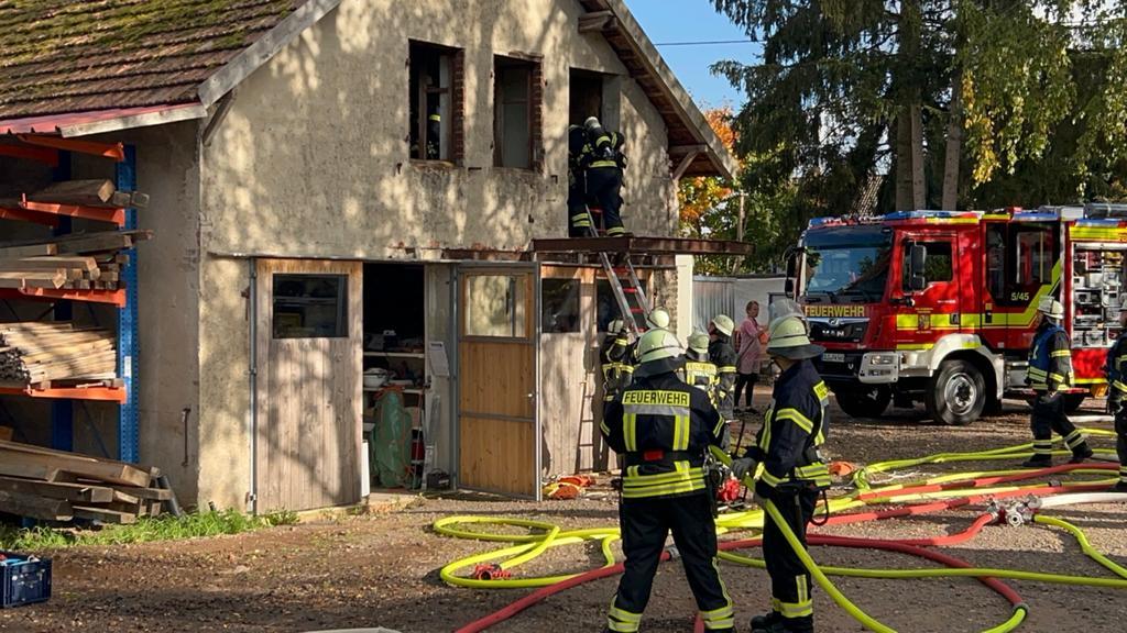 WhatsApp-Image-2022-10-09-at-21.52.35-2